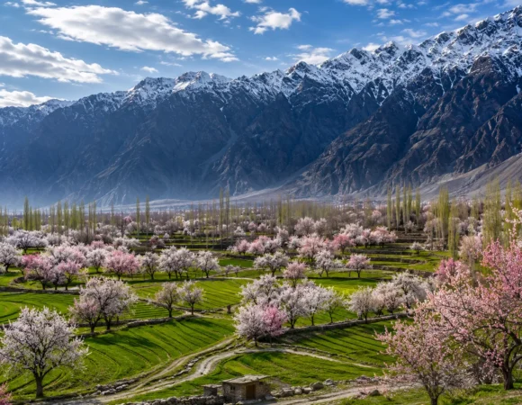 7 Days Skardu & Deosai Adventure Tour