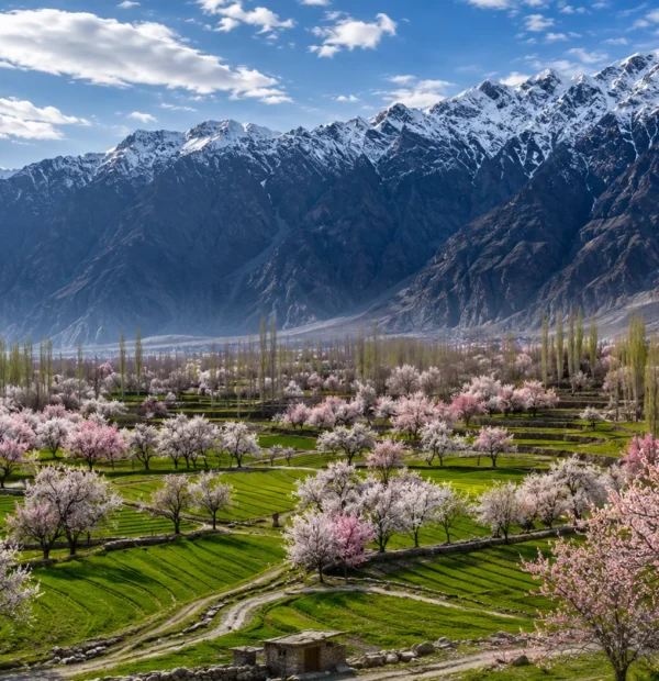 7 Days Skardu & Deosai Adventure Tour